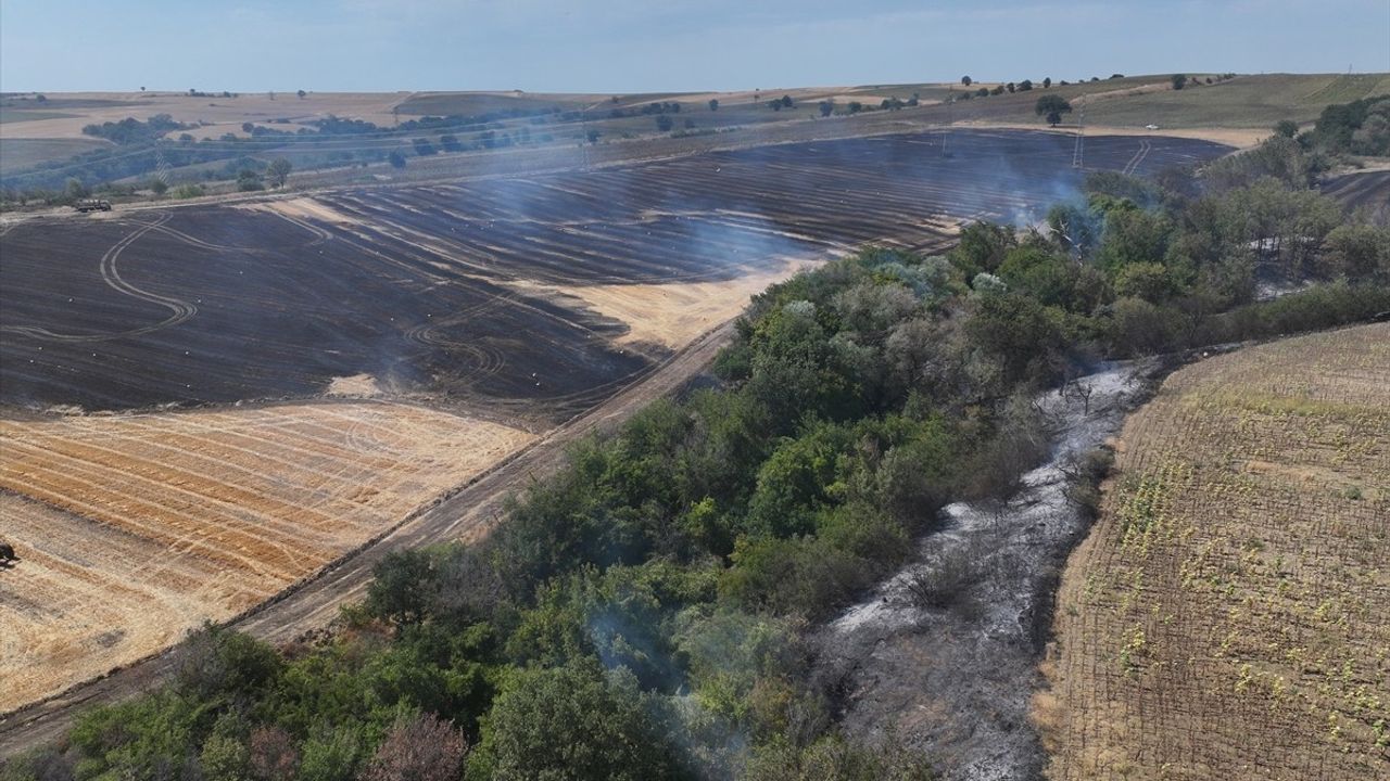 Edirne'de Anız Yangını Ağaçlık Alana Sıçradı: 150 Dekar Arazi ve 50 Saman Balyası Zarar Gördü