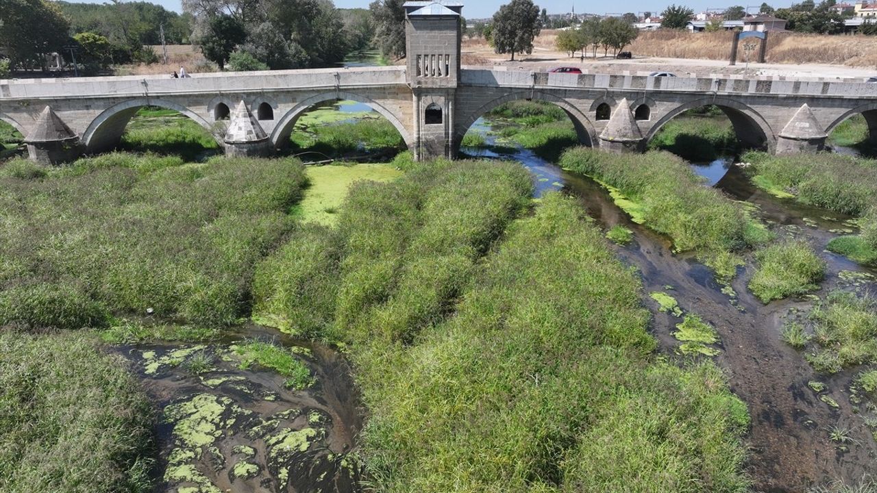 Edirne'de Tunca Nehri'nin Bazı Bölümlerinde Akış Durdu: Kuraklık Ot Öbeklerine Yol Açtı