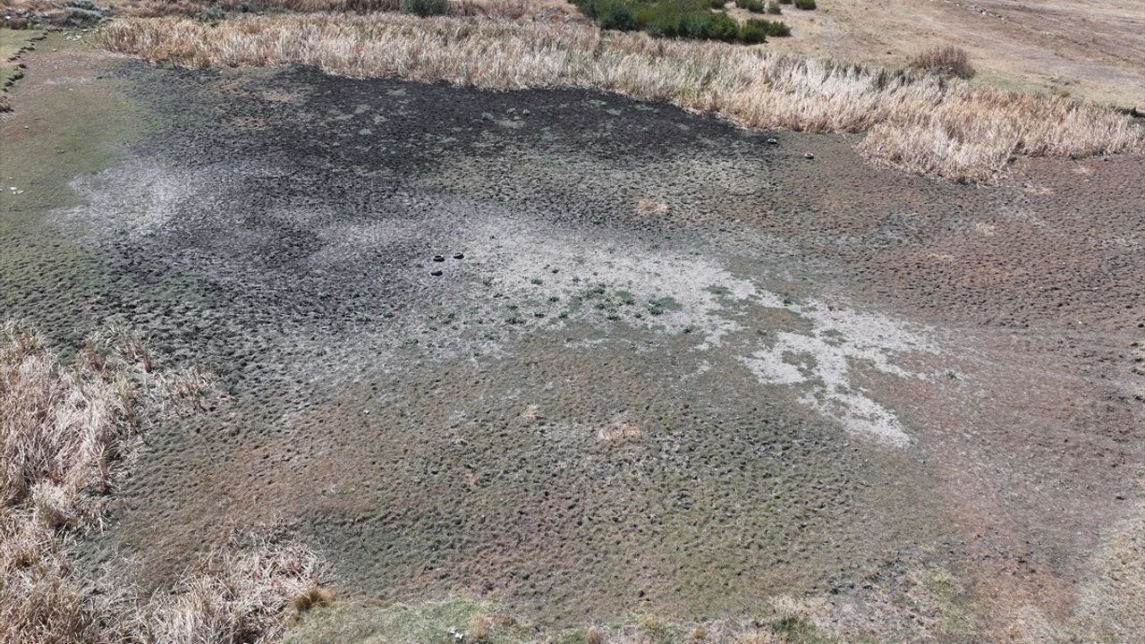 Edirne'de Yağcılı Göleti kuraklık nedeniyle tamamen kurudu