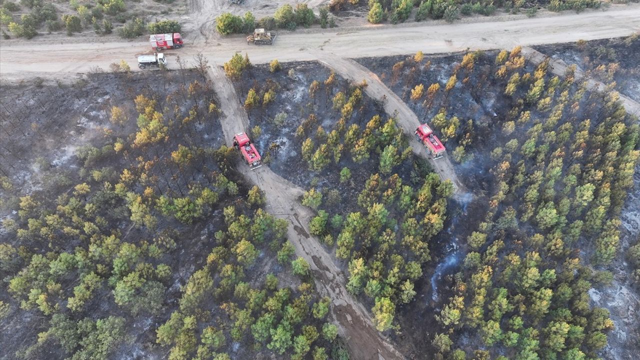 Edirne'deki Orman Yangını Kontrol Altına Alındı
