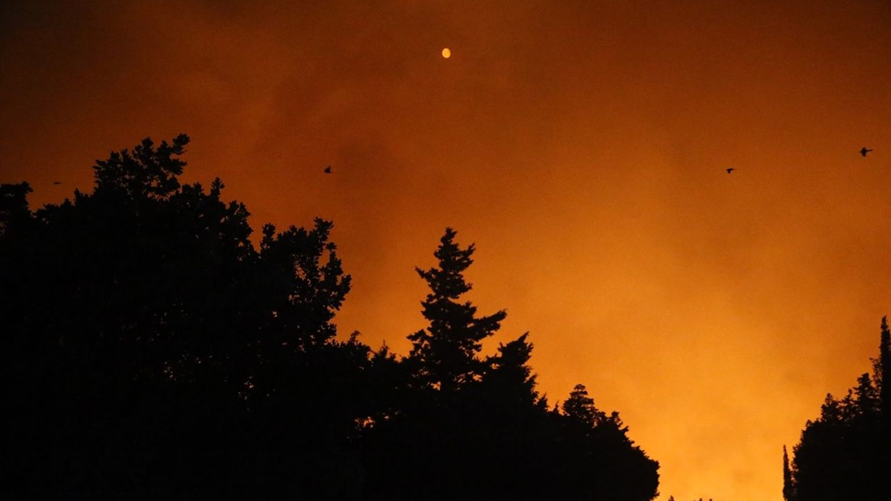 Edirne'deki Orman Yangınına Müdahale Devam Ediyor