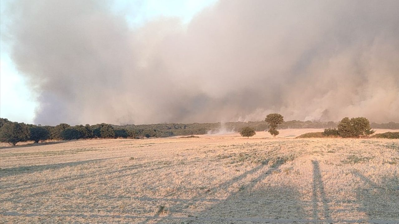Edirne'nin Enez İlçesinde Orman Yangınına Müdahale Başlatıldı