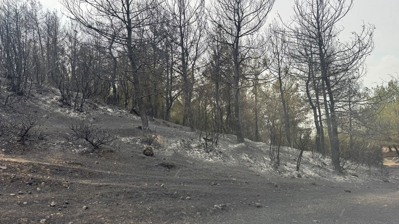 Edirne'nin Keşan İlçesindeki Orman Yangınına Müdahale Devam Ediyor
