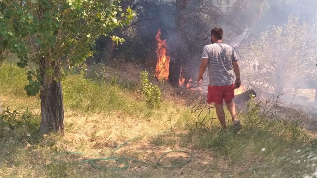Erdek'te Narlı Mahallesi'nde Çıkan Orman Yangını Kontrol Altına Alındı