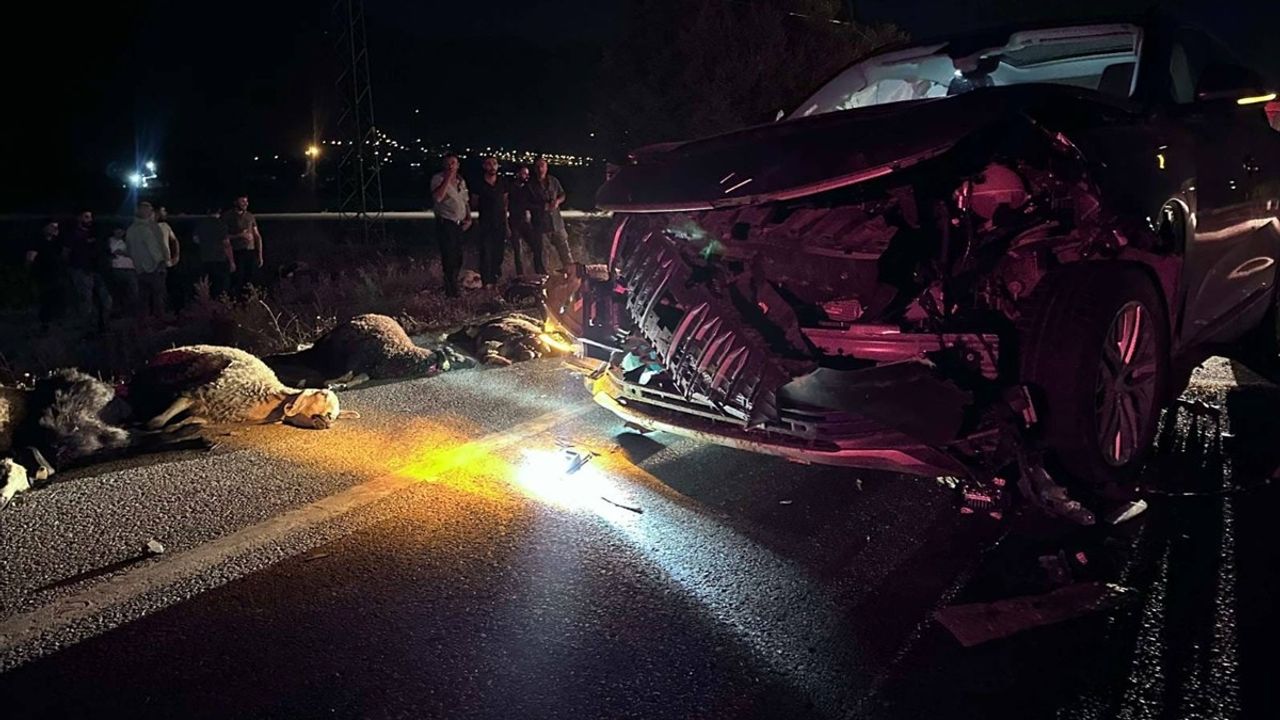 Erzincan'da SUV Aracı 23 Küçükbaş Hayvana Çarptı