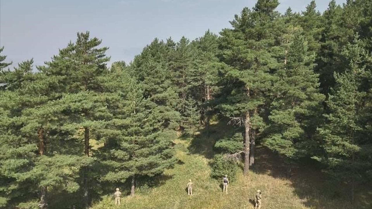 Erzurum'da Ormanlık Alanda Mangal Yakan İki Kişiye Para Cezası Uygulandı