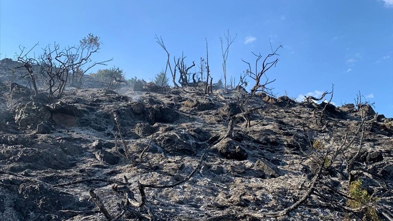 Erzurum İspir'de Çıkan Örtü Yangını Kontrol Altına Alındı
