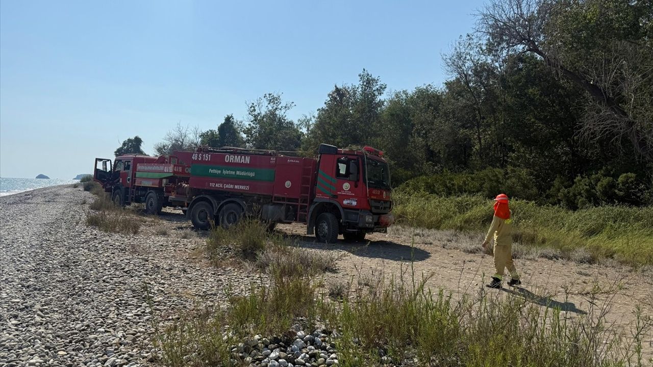 Fethiye'de Karaot Plajı yakınında çıkan orman yangını hızla söndürüldü