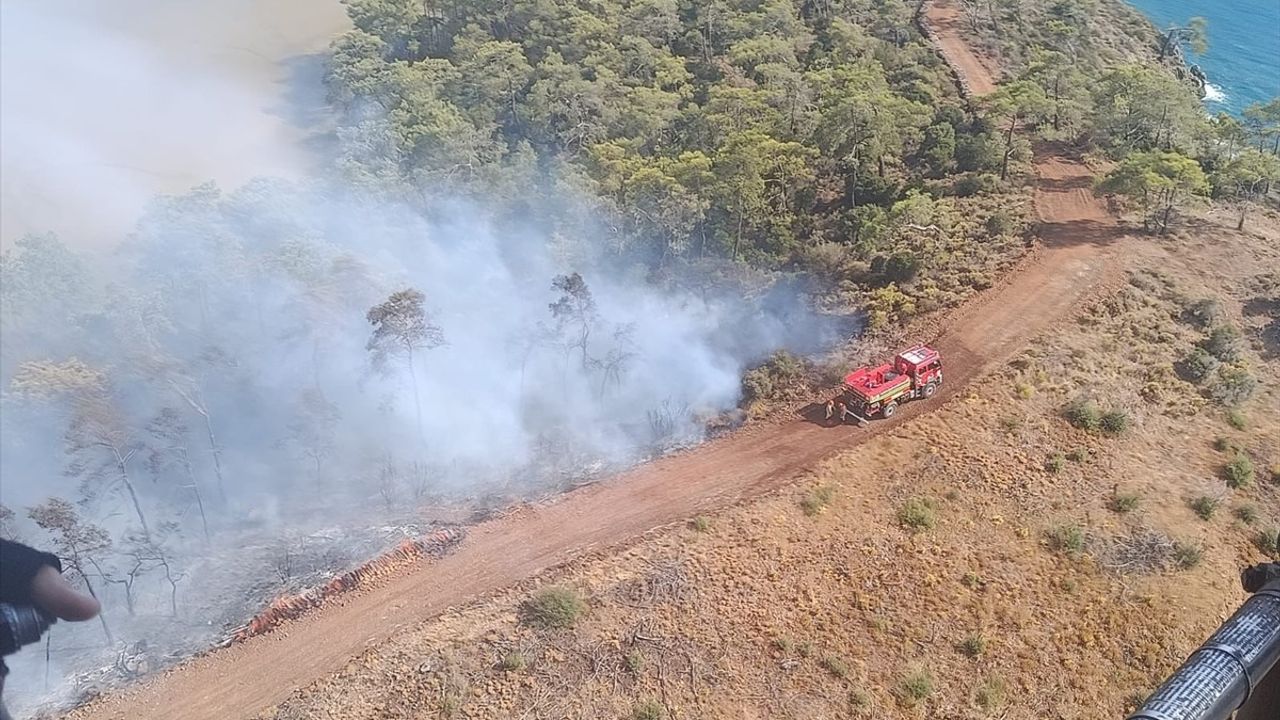 Fethiye'de Katrancı Koyu'nda orman yangını — Havadan ve karadan müdahale sürüyor