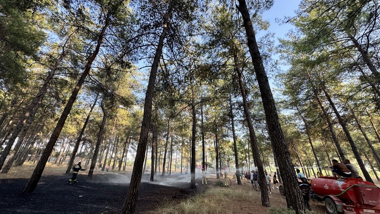 Fethiye Esenköy Mahallesi'nde Orman Yangını Söndürüldü