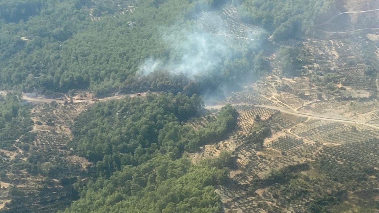 Fethiye Yakacık Mahallesi'nde Orman Yangınına Müdahale Ediliyor