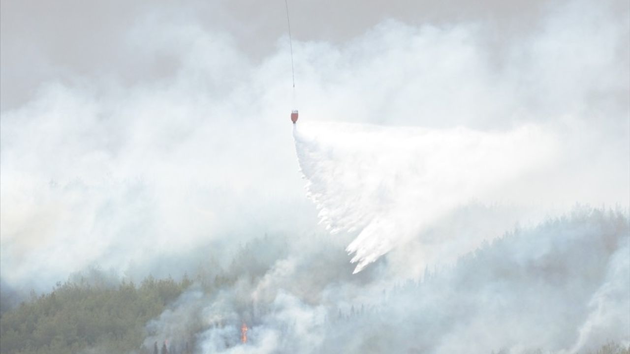 Gelibolu'da Orman Yangını 2. Gününde: Tahliyeler, Kapanan Ziyaret Noktaları ve Müdahale Süreci