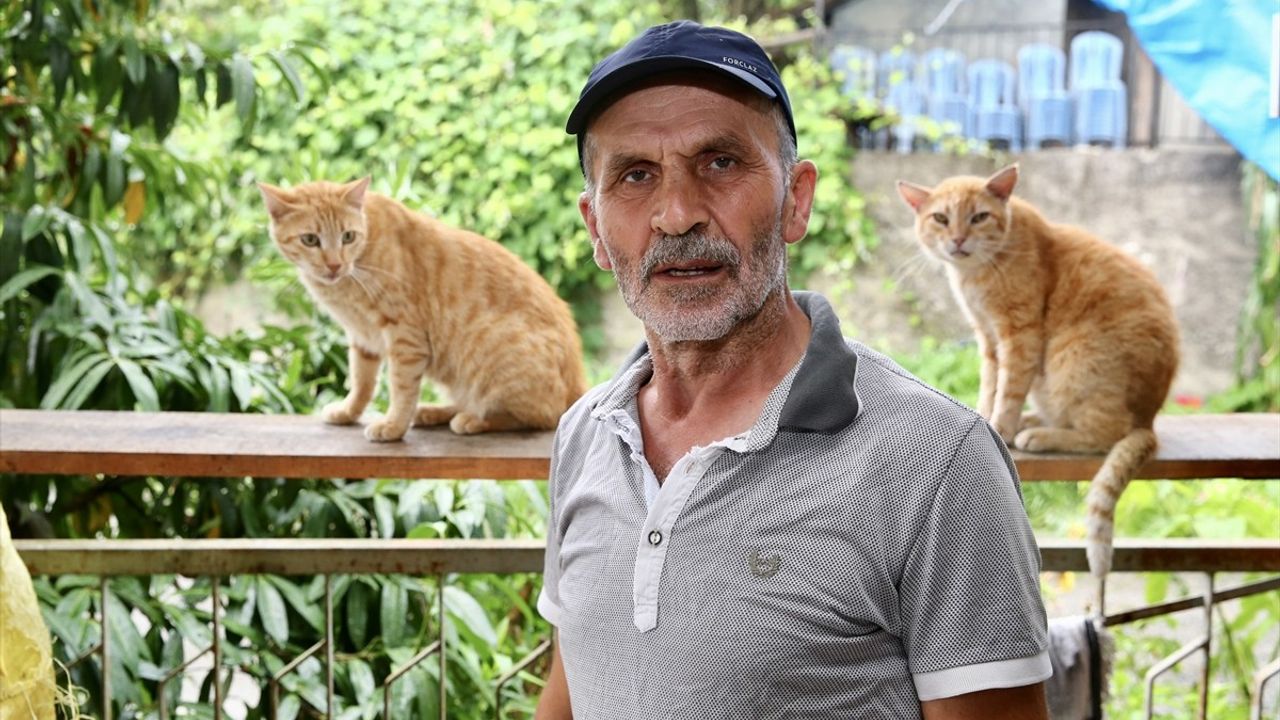 Giresun'da Engelli Kedilere Şefkatli Bakım: Temel Sezer'in Öyküsü