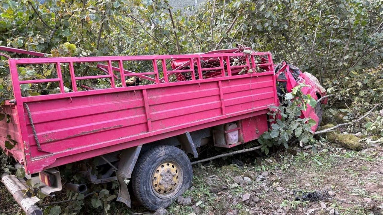 Giresun Doğankent'te kamyonetin fındık bahçesine devrilmesi: 4 ölü, 1 ağır yaralı