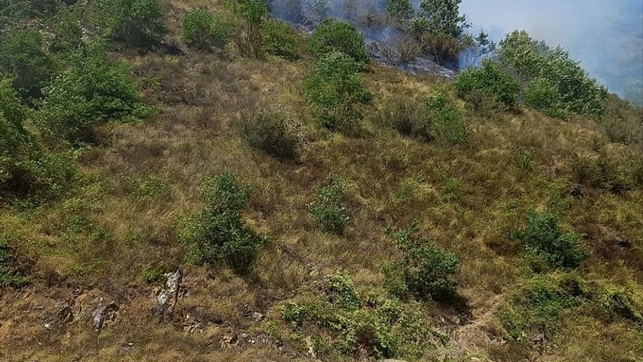 Gümüşhane'nin Kürtün ilçesinde örtü yangını 15 hektarda kontrol altına alındı