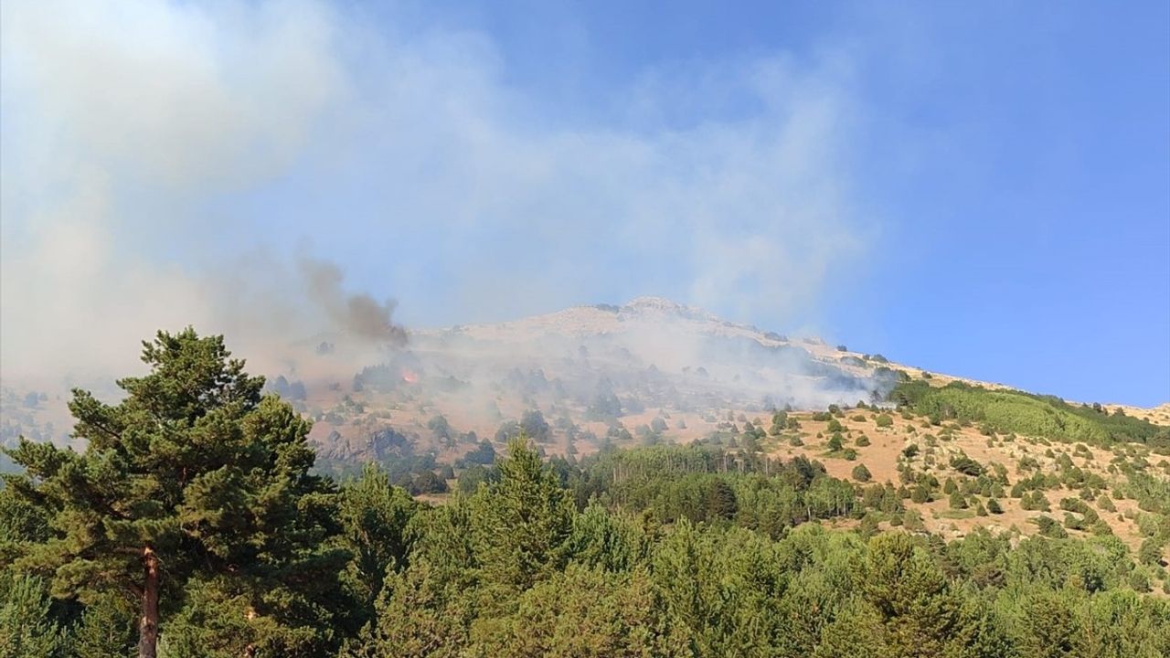 Gümüşhane Şiran Akbulak Yaylası'nda örtü yangını kontrol altına alındı