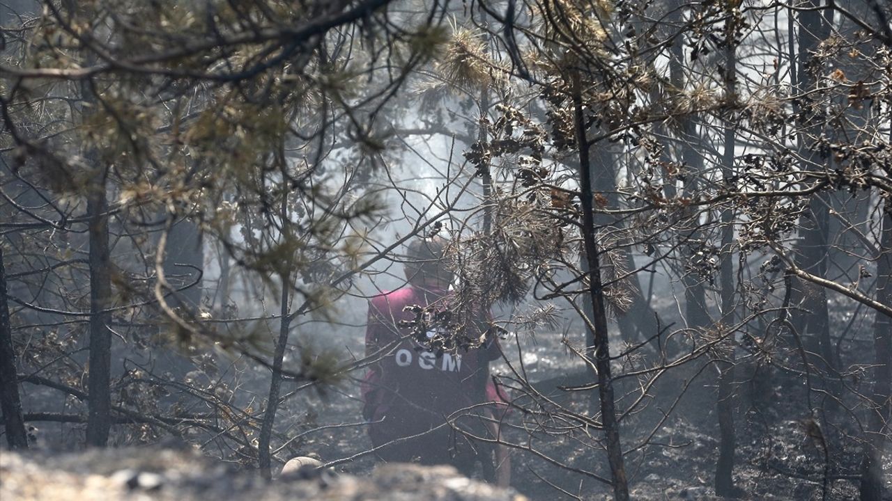 Güncelleme: Çorum Çalyayla'daki orman yangını kontrol altına alındı