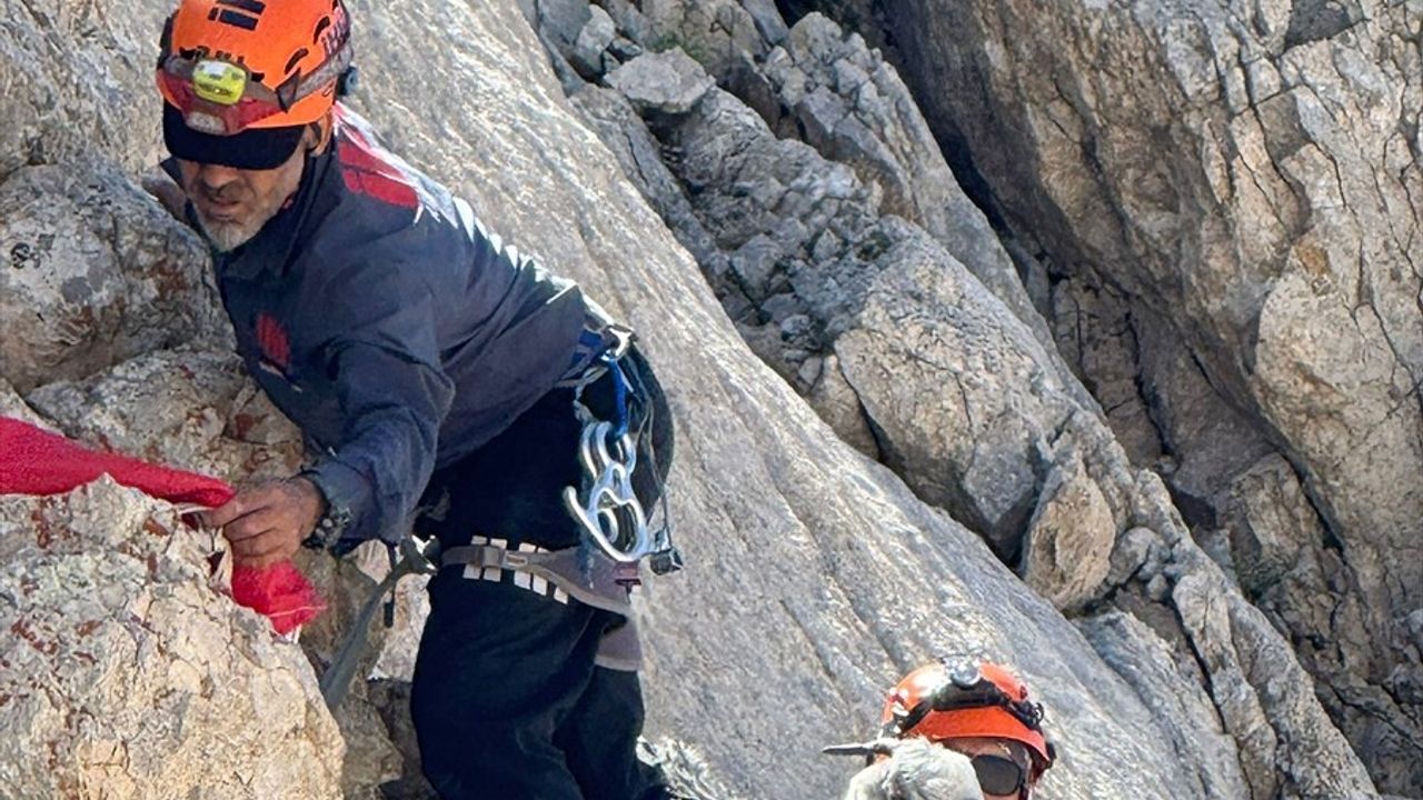 Gündoğmuş'ta 5 keçi 9 gün sonra İHH Alanya ekibi tarafından kurtarıldı