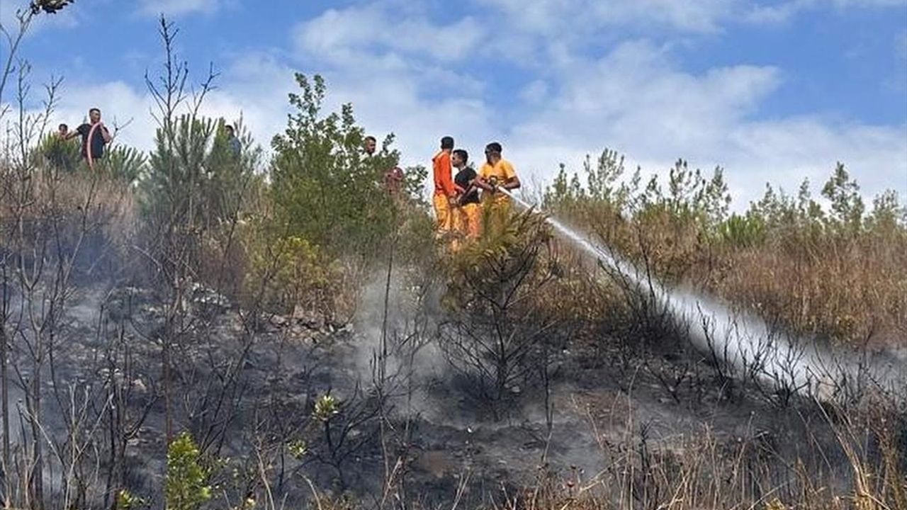 Hatay Arsuz'da orman yangını ekiplerin müdahalesiyle söndürüldü