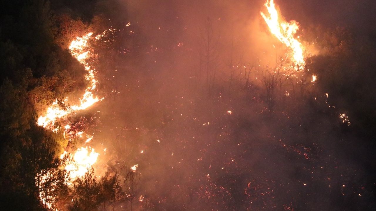 Hatay'da Orman Yangını: Ekipler Müdahale Ediyor