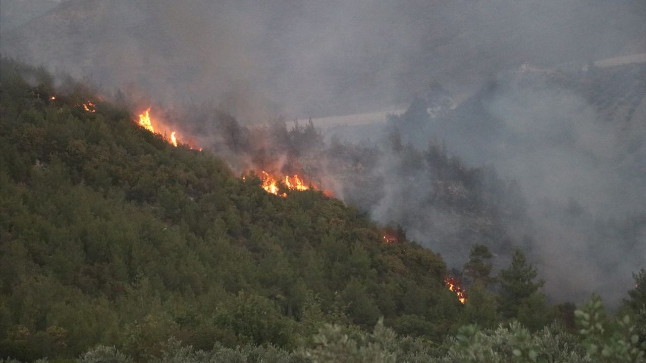 Hatay'daki Orman Yangını Kontrol Altına Alındı