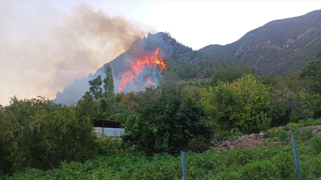 Hatay Kırıkhan'da orman yangınına havadan ve karadan müdahale sürüyor