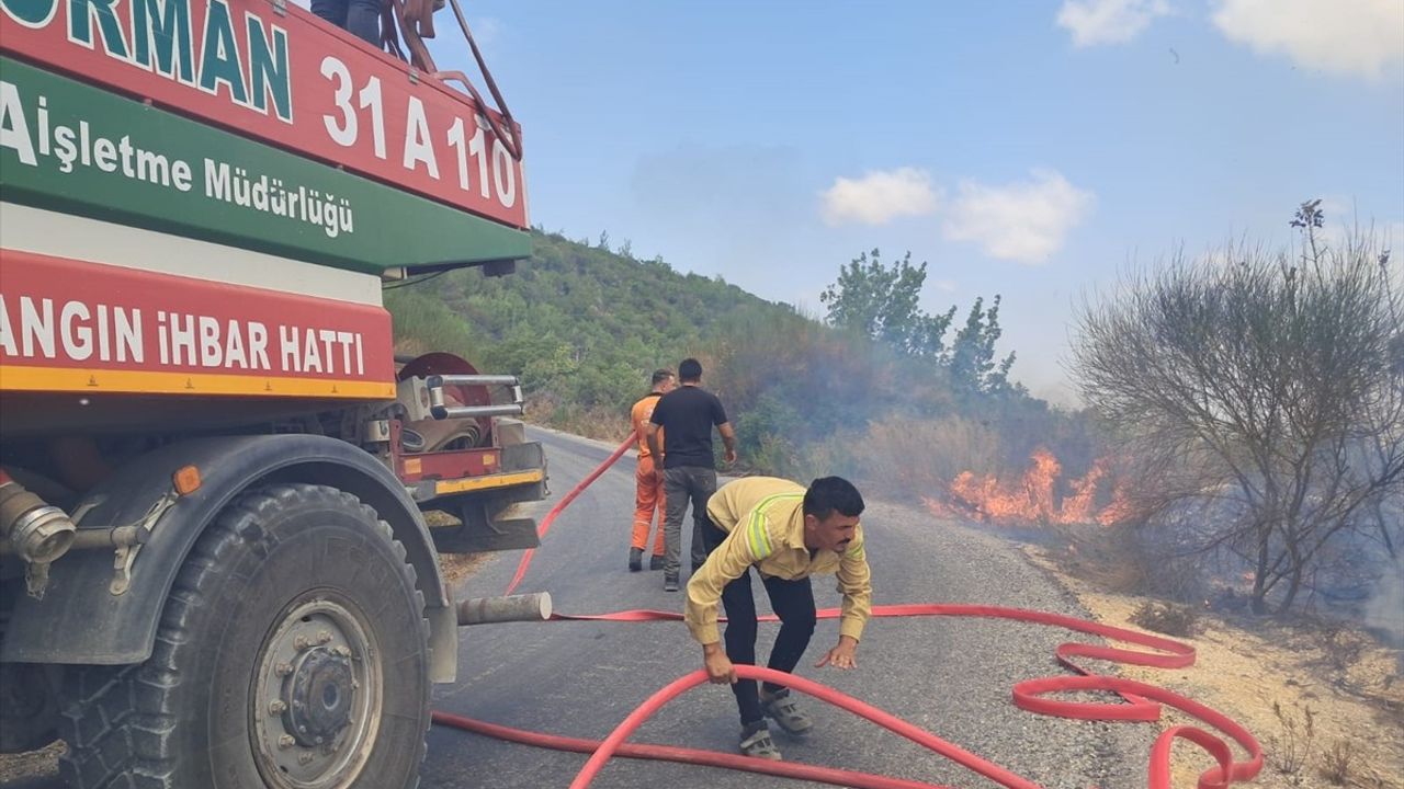 Hatay Yayladağı'nda Güveççi mevkisindeki orman yangını kontrol altına alındı