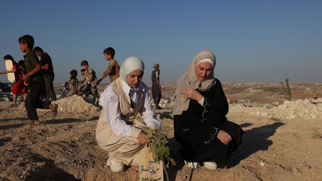 İdlib'de Dünya Zorla Kaybedilenler Günü'nde 500'den Fazla İncir Fidanı Kayıplar İçin Dikildi