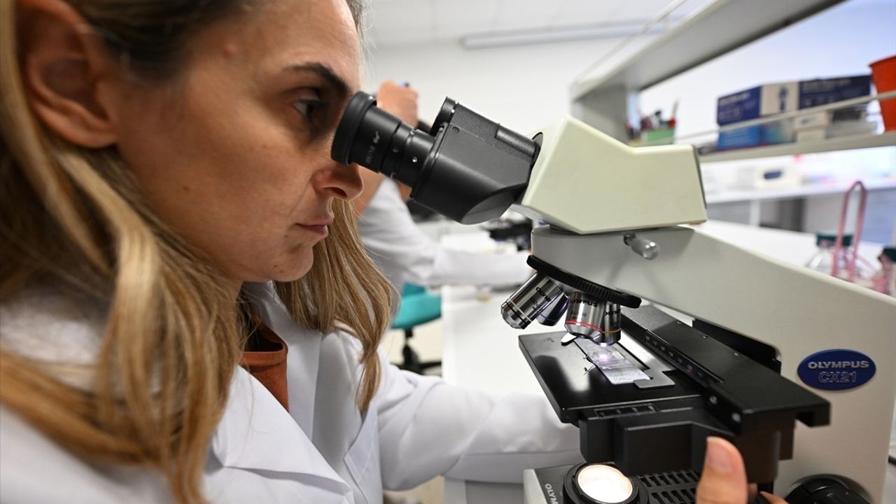 İklim değişikliği kestane balının polen yapısını değiştirdi: Orman gülü karışımı uyarısı