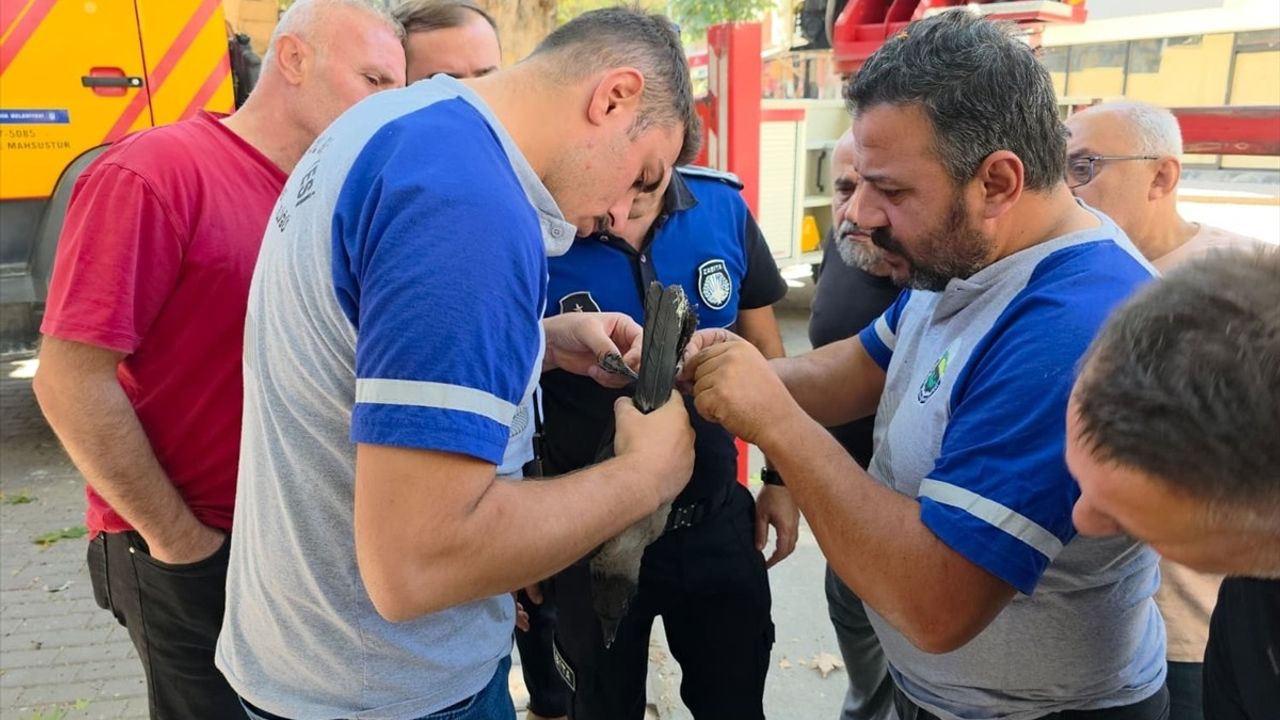 İnegöl'de Bacağı İpe Dolanan Karga, İtfaiye Kurtardı