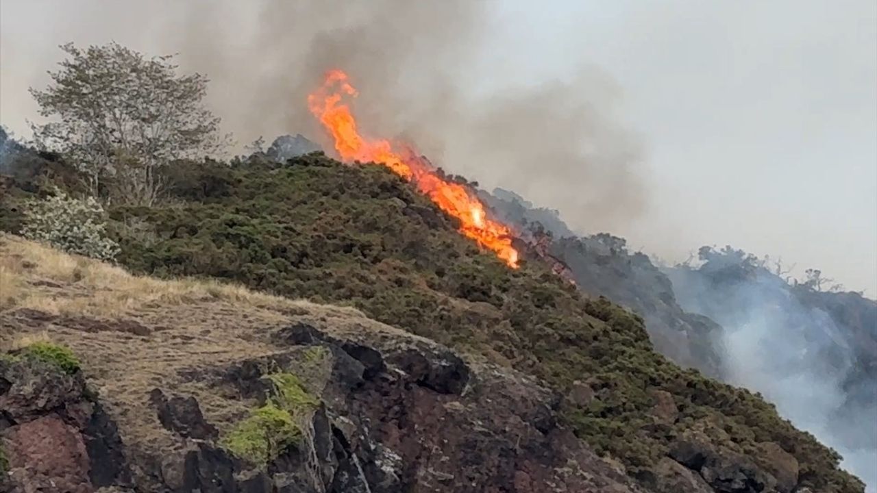 İskoçya'daki Arthur's Seat Tepesi'nde Yangın Çıktı