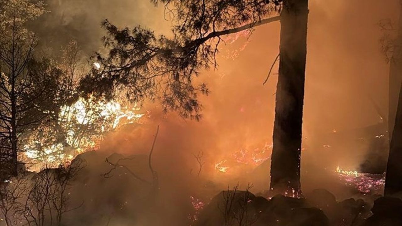 Isparta'daki Orman Yangını Kontrol Altına Alındı
