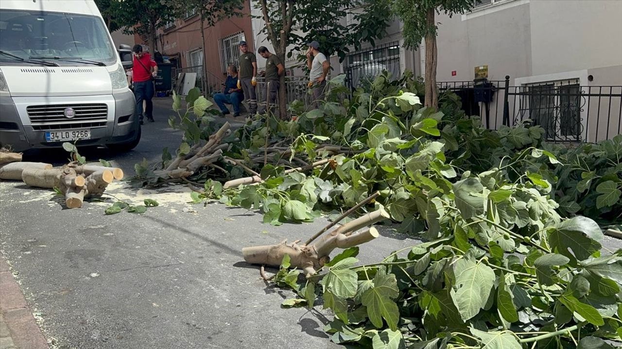 İstanbul'da fırtına ağaçları devirdi: Bakırköy, Bağcılar ve Şişli'de hasar ve yaralanmalar