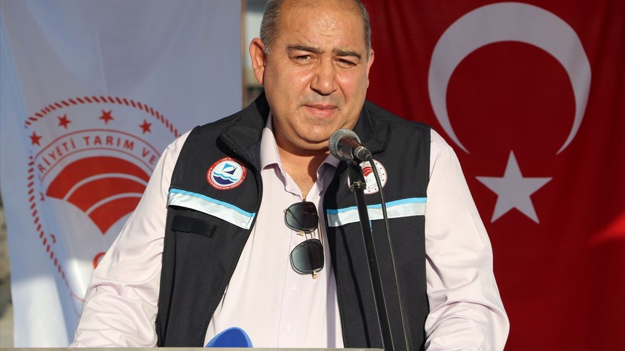 İzmir'de 2025-2026 Av Sezonu Başlıyor: Balıkçılar Gece Yarısı 'Vira Bismillah' Diyecek