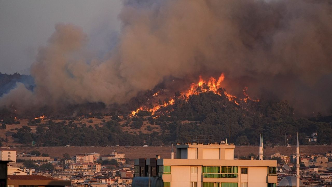 İzmir'de Buca'daki orman yangınına hava ve kara müdahalesi sürüyor