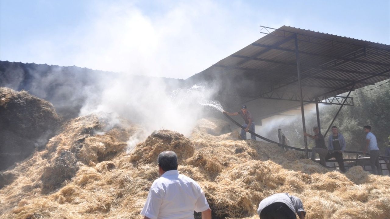 İzmir'de Çiftlikte Yangın: 16 Büyükbaş Hayvan Telef Oldu