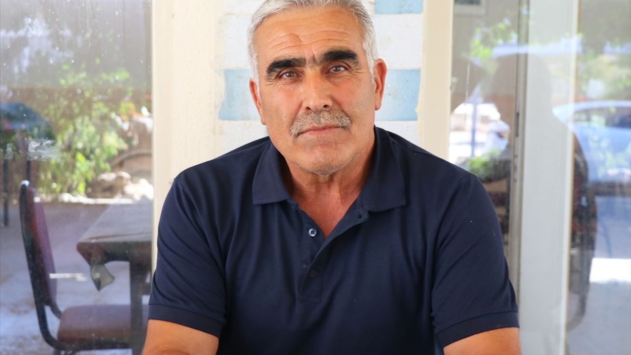 İzmir'de sahipsiz köpeklerden kaçarken otomobilin çarptığı kadın yaşamını yitirdi