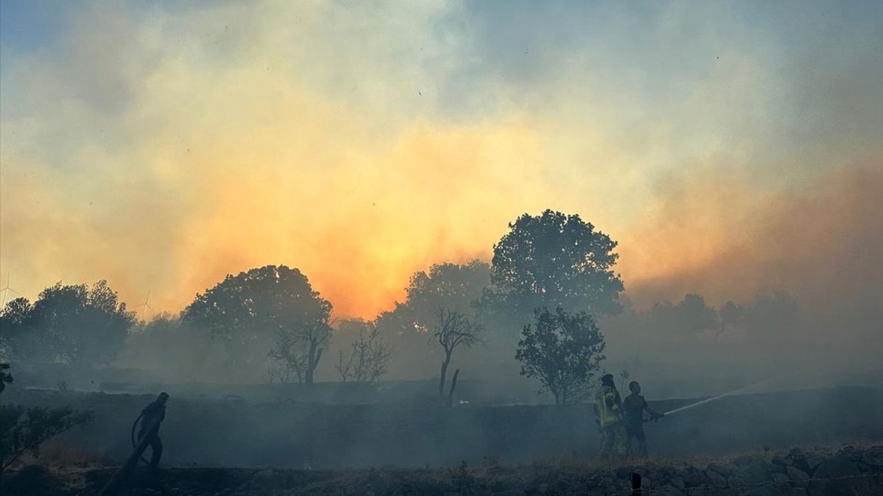 İzmir Dikili'deki Yangına Hızla Müdahale Ediliyor