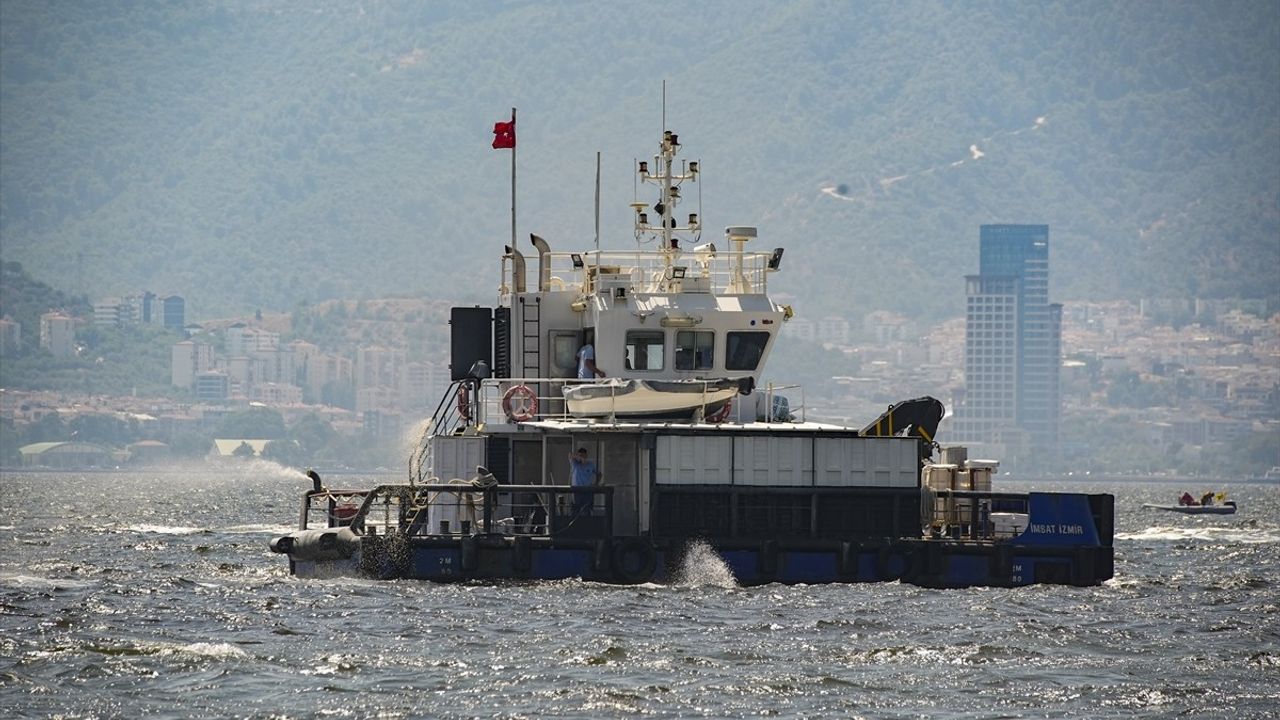 İzmir Körfezi'nde balık ölümleri yeniden sahile vuruyor