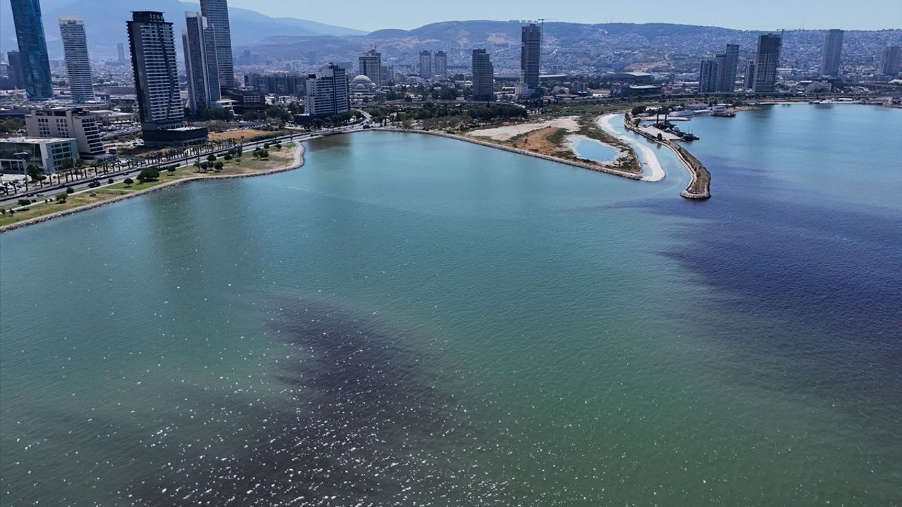 İzmir Körfezi Turan Sahili'nde Yine Balık Ölümleri: Yetkililer İnceleme Başlattı
