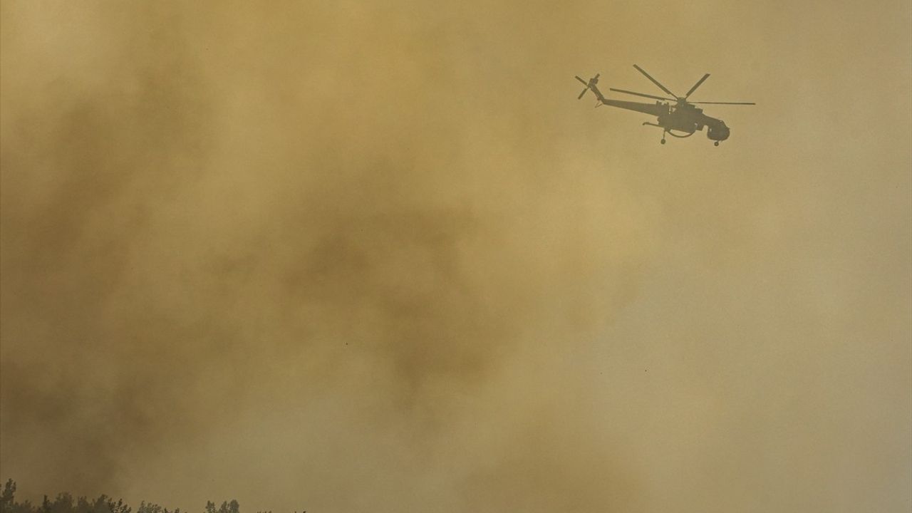 İzmir Menderes'te tarım arazisinden ormana sıçrayan yangına hava ve kara ekipleriyle müdahale sürüyor