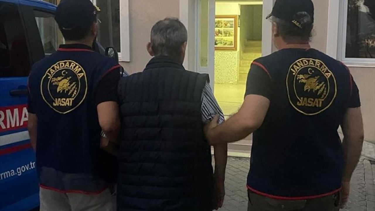 İzmir Selçuk'ta sahipsiz hayvanların zehirlenmesi: 1 şüpheli tutuklandı