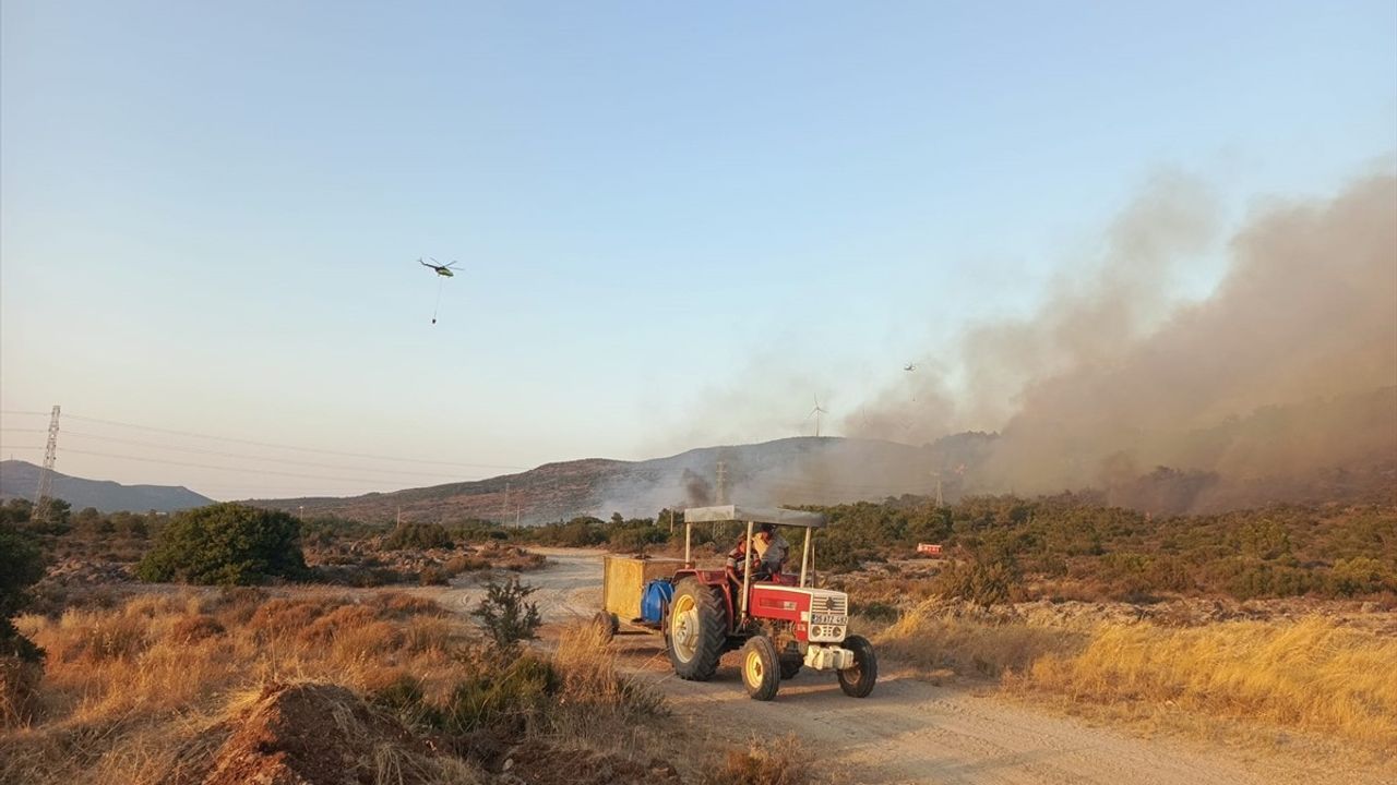 İzmir Urla'da Tarım Alanında Başlayan Yangın Ormana Sıçradı