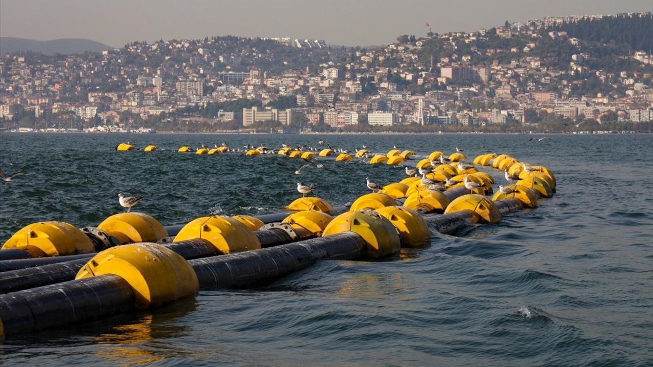 İzmit Körfezi'ndeki Dip Çamuru Temizliği Balık Popülasyonunu Artırdı