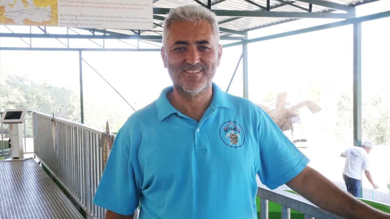 İztuzu Sahili'nde caretta caretta yuva sayısı 800'e ulaştı