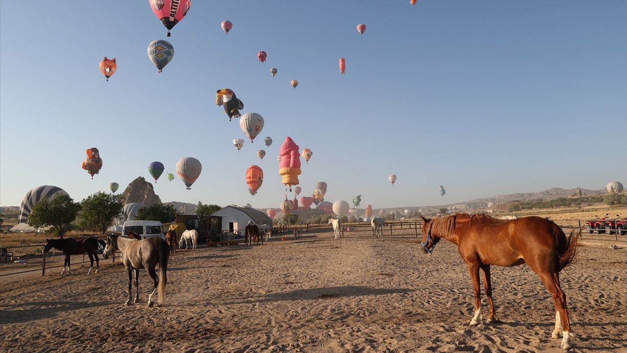 Kapadokya'da Figürlü Sıcak Hava Balonları Gösteri Uçuşu Gerçekleştirildi