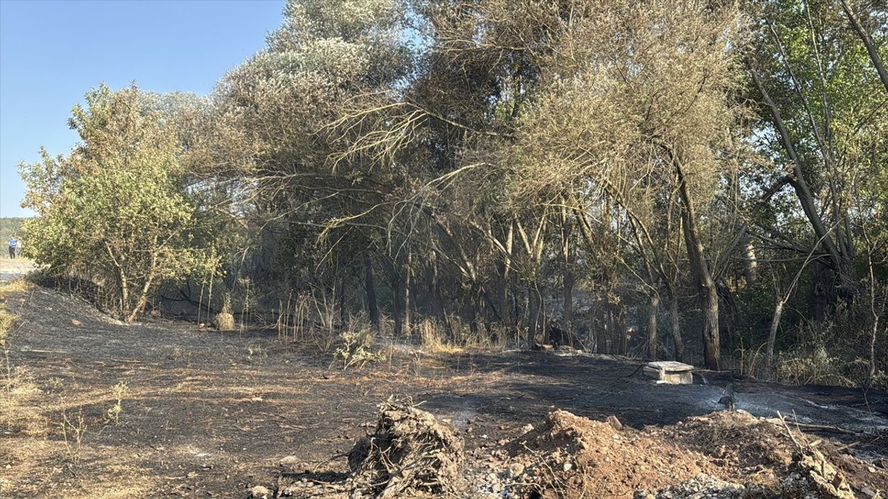 Karabük'te Anız Yangını Kontrol Altına Alındı