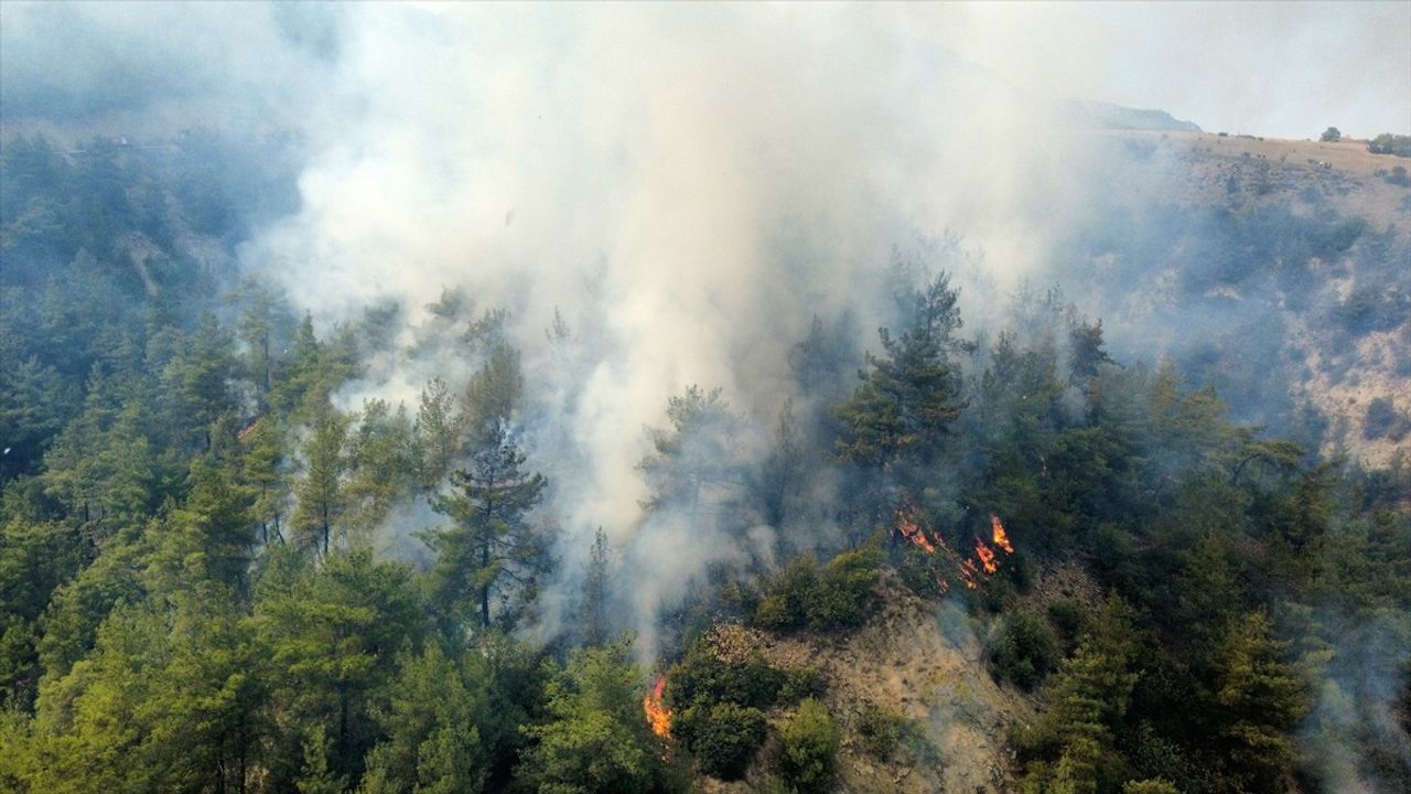 Karabük'te Orman Yangınına Müdahale Devam Ediyor