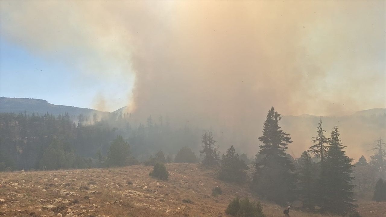 Karaman'da Ermenek ve Sarıveliler'de orman yangınlarına müdahale sürüyor
