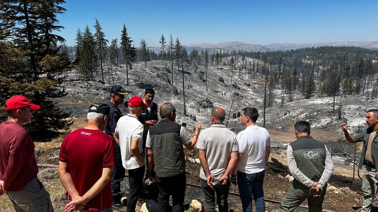 Karaman Valisi Çiçekli, Ermenek ve Sarıveliler'deki orman yangınlarını yerinde inceledi